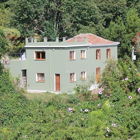 Puntallana Casa Fita En El Cubo De La Galga旅馆 外观 照片