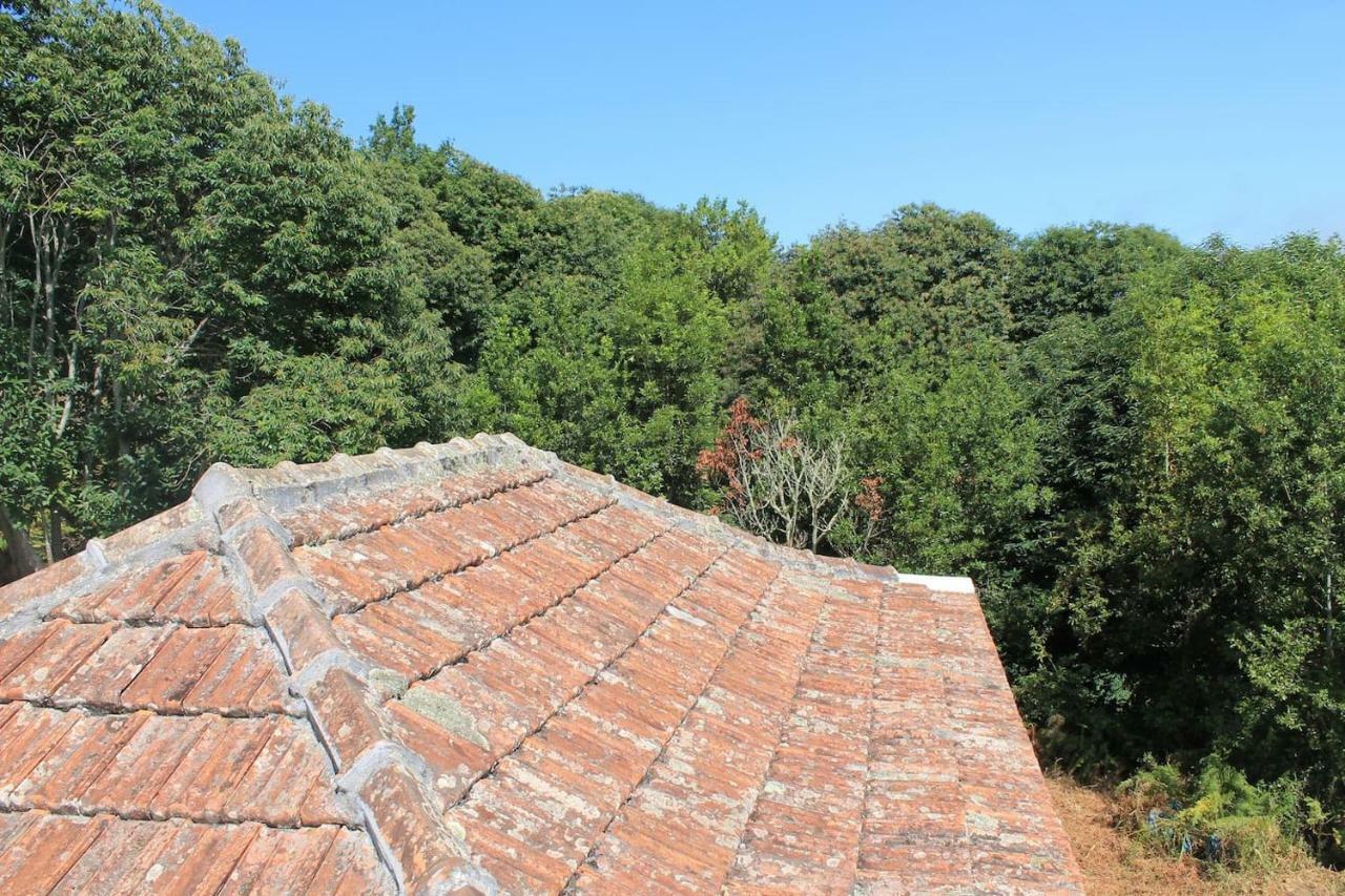 Puntallana Casa Fita En El Cubo De La Galga旅馆 外观 照片
